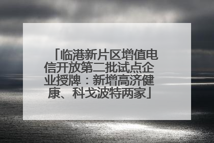 临港新片区增值电信开放第二批试点企业授牌：新增高济健康、科戈波特两家