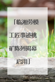 临湘劳模工匠事迹桃矿陈列揭幕启用