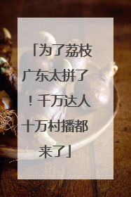 为了荔枝广东太拼了！千万达人十万村播都来了