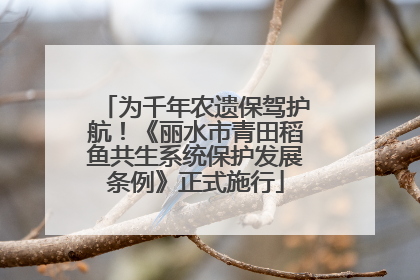 为千年农遗保驾护航！《丽水市青田稻鱼共生系统保护发展条例》正式施行