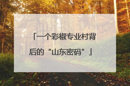 一个彩椒专业村背后的“山东密码”