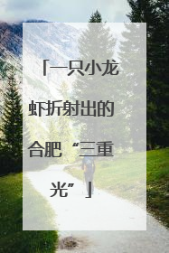 一只小龙虾折射出的合肥“三重光”