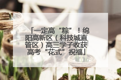 一定高“粽”！绵阳高新区（科技城直管区）高三学子收获高考“花式”祝福