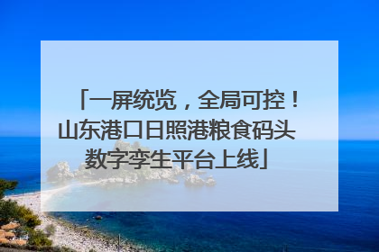 一屏统览，全局可控！山东港口日照港粮食码头数字孪生平台上线