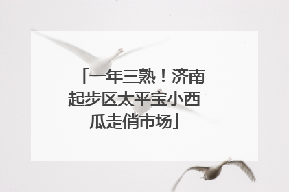 一年三熟！济南起步区太平宝小西瓜走俏市场