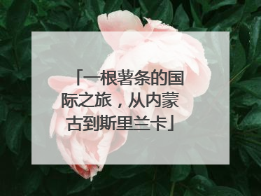 一根薯条的国际之旅，从内蒙古到斯里兰卡