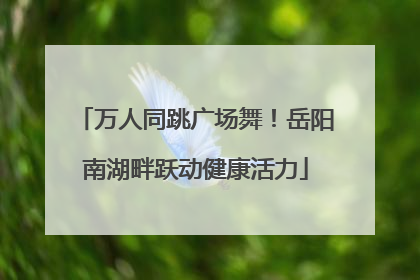 万人同跳广场舞！岳阳南湖畔跃动健康活力