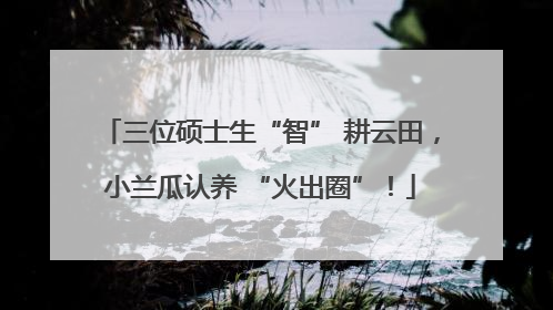 三位硕士生“智” 耕云田，小兰瓜认养 “火出圈”！