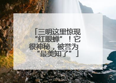 三明这里惊现“红眼蝉”！它很神秘，被誉为“最美知了”