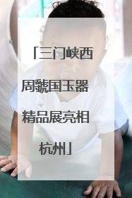 三门峡西周虢国玉器精品展亮相杭州