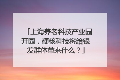 上海养老科技产业园开园，硬核科技将给银发群体带来什么？