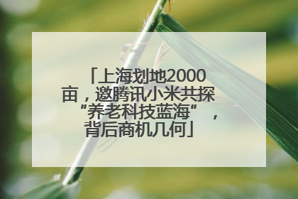 上海划地2000亩，邀腾讯小米共探“养老科技蓝海”，背后商机几何