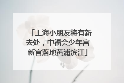上海小朋友将有新去处，中福会少年宫新宫落地黄浦滨江