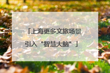 上海更多文旅场景引入“智慧大脑”