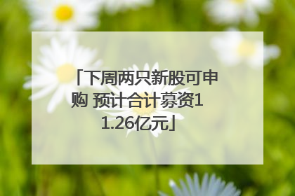 下周两只新股可申购 预计合计募资11.26亿元