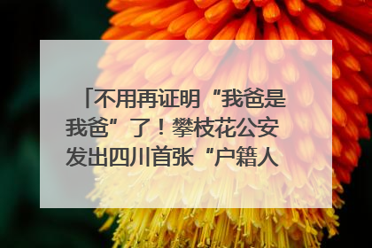 不用再证明“我爸是我爸”了！攀枝花公安发出四川首张“户籍人口直系亲属关系谱”