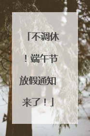 不调休！端午节放假通知来了！