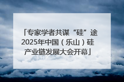 专家学者共谋“硅”途 2025年中国（乐山）硅产业链发展大会开幕