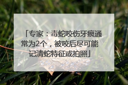 专家：毒蛇咬伤牙痕通常为2个，被咬后尽可能记清蛇特征或拍照