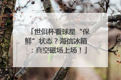 世俱杯看球星“保鲜”状态？海信冰箱：真空磁场上场！