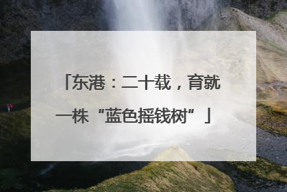 东港：二十载，育就一株“蓝色摇钱树”