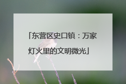 东营区史口镇：万家灯火里的文明微光
