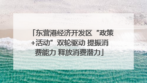 东营港经济开发区“政策+活动”双轮驱动 提振消费能力 释放消费潜力