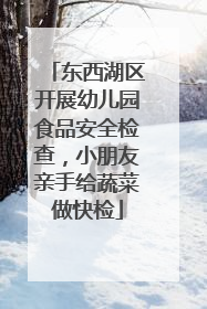 东西湖区开展幼儿园食品安全检查，小朋友亲手给蔬菜做快检