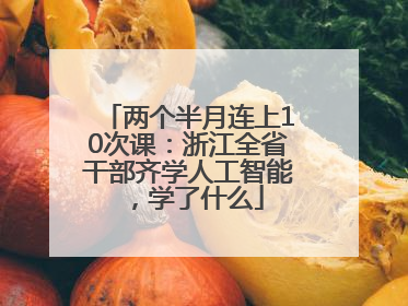两个半月连上10次课：浙江全省干部齐学人工智能，学了什么