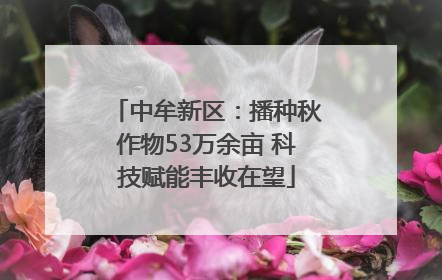 中牟新区：播种秋作物53万余亩 科技赋能丰收在望