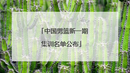 中国男篮新一期集训名单公布