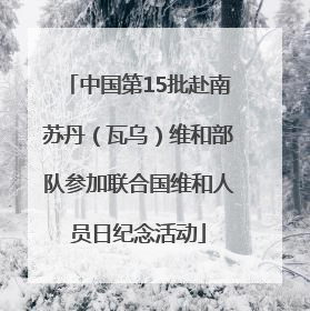 中国第15批赴南苏丹（瓦乌）维和部队参加联合国维和人员日纪念活动