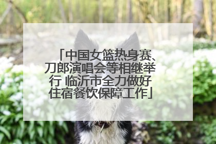 中国女篮热身赛、刀郎演唱会等相继举行 临沂市全力做好住宿餐饮保障工作
