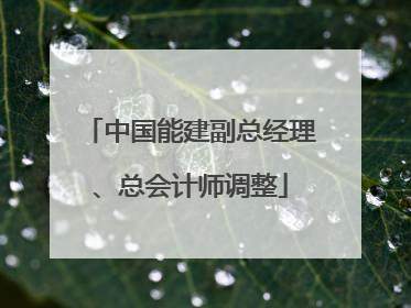 中国能建副总经理、总会计师调整