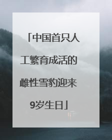中国首只人工繁育成活的雌性雪豹迎来9岁生日