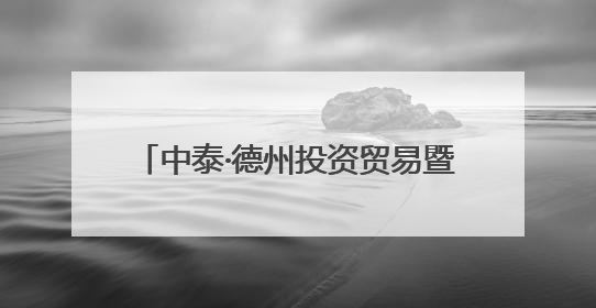 中泰·德州投资贸易暨法律服务交流会举行