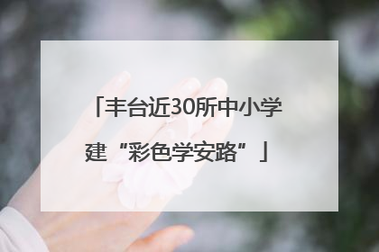 丰台近30所中小学建“彩色学安路”