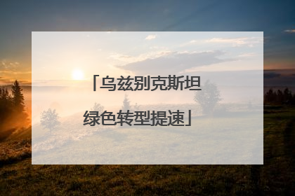乌兹别克斯坦绿色转型提速