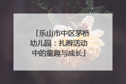 乐山市中区茅桥幼儿园：扎辫活动中的童趣与成长