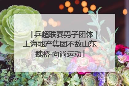 乒超联赛男子团体｜上海地产集团不敌山东魏桥·向尚运动