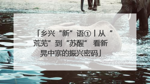 乡兴“新”语①丨从“荒芜”到“苏醒” 看新晃中寨的振兴密码