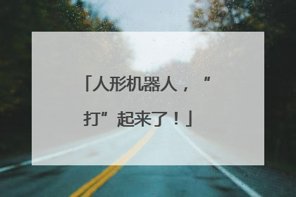 人形机器人，“打”起来了！