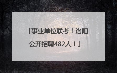 事业单位联考！洛阳公开招聘482人！