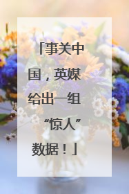 事关中国，英媒给出一组“惊人”数据！