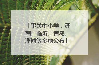 事关中小学，济南、临沂、青岛、淄博等多地公布