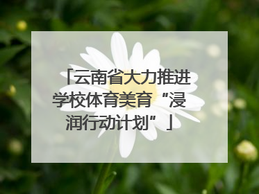 云南省大力推进学校体育美育“浸润行动计划”