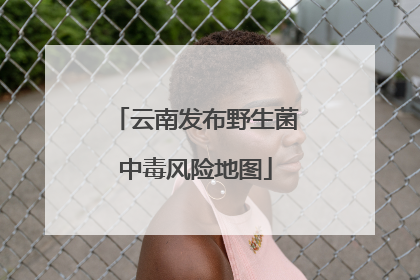 云南发布野生菌中毒风险地图