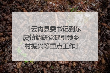 云霄县委书记到东厦镇调研党建引领乡村振兴等重点工作