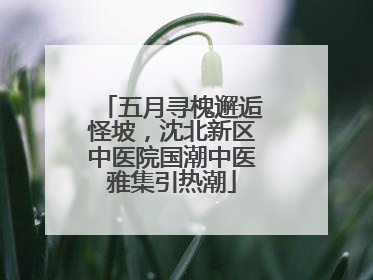 五月寻槐邂逅怪坡，沈北新区中医院国潮中医雅集引热潮