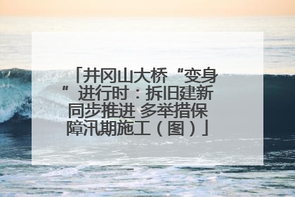 井冈山大桥“变身”进行时：拆旧建新同步推进 多举措保障汛期施工（图）